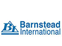 BARNSTEAD INTERNATIONAL